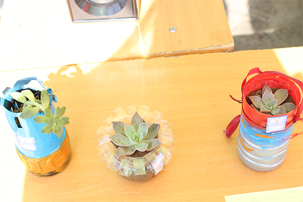 开云官网成功举办植树节活动