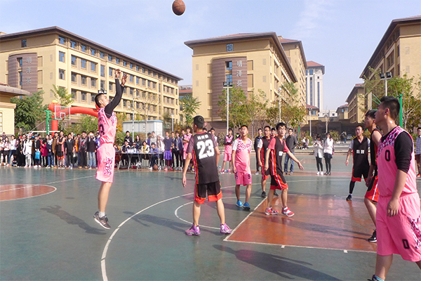 恭喜物流专业获得开云官网新生篮球赛冠军 恭喜物流专业获得开云官网新生篮球赛冠军