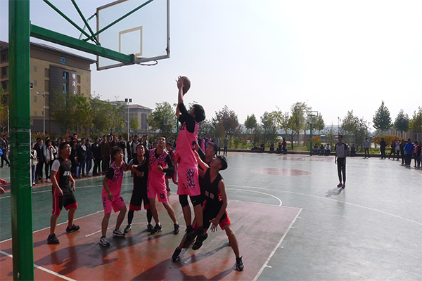 恭喜物流专业获得开云官网新生篮球赛冠军 恭喜物流专业获得开云官网新生篮球赛冠军