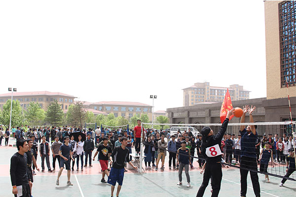 开云官网喜获开云kaiyun官方网站男子排球赛季军